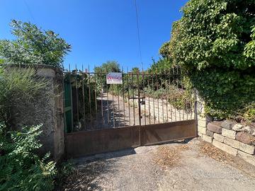 Terreno Agricolo Uliveto con Casetta