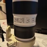Canon EF 70-200 f/4 L IS II