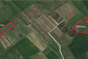 Monastir, terreno agricolo di 5340 mq