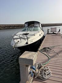 Sea Ray 255 Sundancer limited edition
