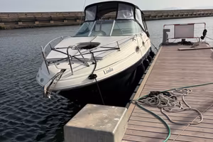 Sea Ray 255 Sundancer limited edition