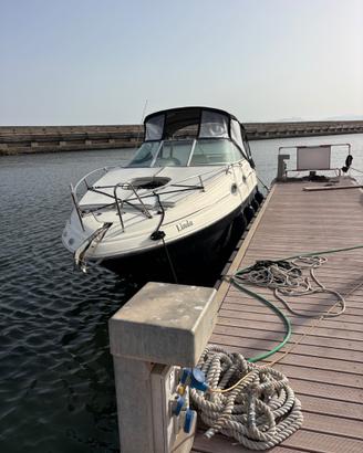 Sea Ray 255 Sundancer limited edition