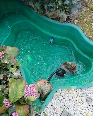 Laghetto da giardino