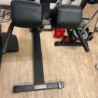 Lower Back Technogym perfetta