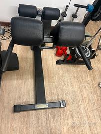 Lower Back Technogym perfetta