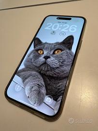 Apple Iphone Pro Max 256 gb Titanio