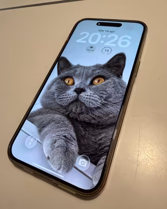 Apple Iphone Pro Max 256 gb Titanio