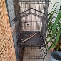 gabbia per uccelli 