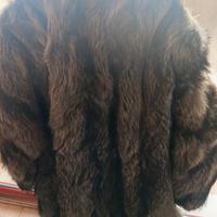  Pelliccia di Volpe Argentata 