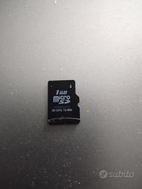 Micro SD 1GB cellulari lettori apparati NOHC NO HC