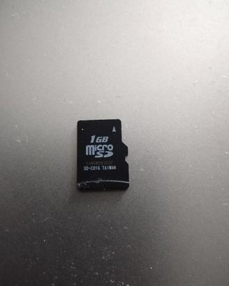 Micro SD 1GB cellulari lettori apparati NOHC NO HC