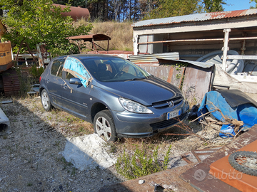 Peugeot 307