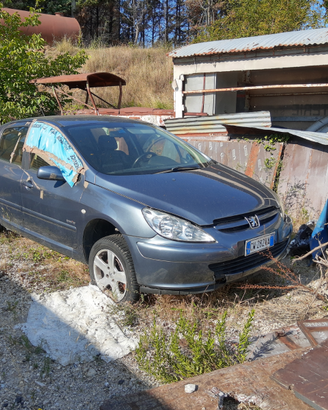 Peugeot 307