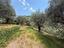 Immagine 11