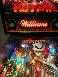 Flipper NO FEAR