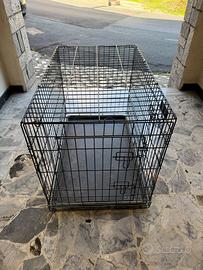 kennel cane