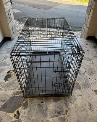 kennel cane