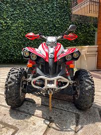 Can am ranegade 800R