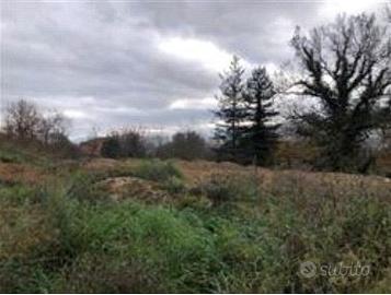 RGE 6/2022 - Tribunale di Urbino - Lotto 3