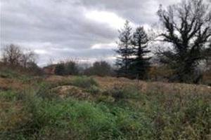 RGE 6/2022 - Tribunale di Urbino - Lotto 3