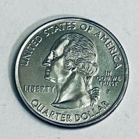 Moneta Quarto di Dollaro USA - South Carolina