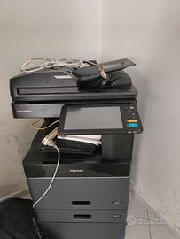 stampante Toshiba professionale
