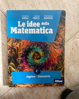 Le idee della matematica 2