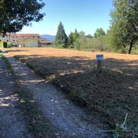 Terreno agricolo