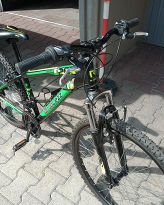 bicicletta 