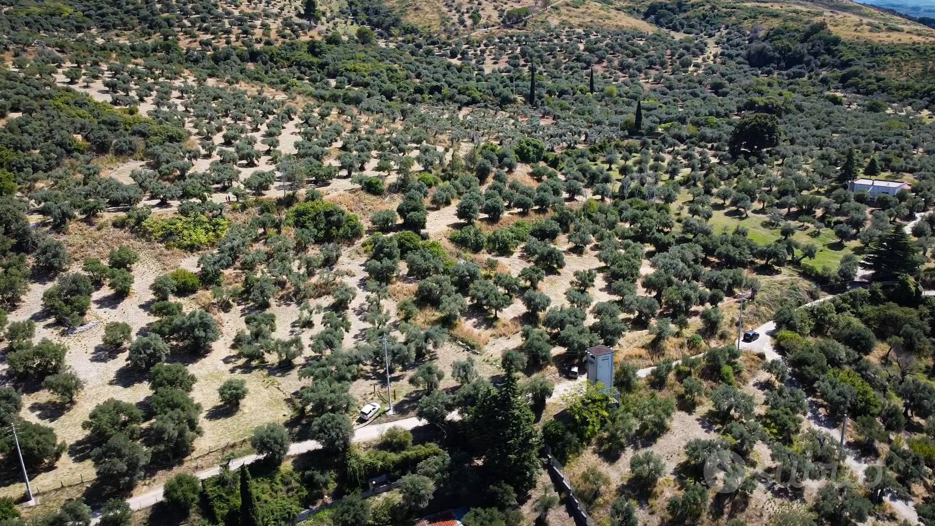 Terreno - Tivoli - Vista 2