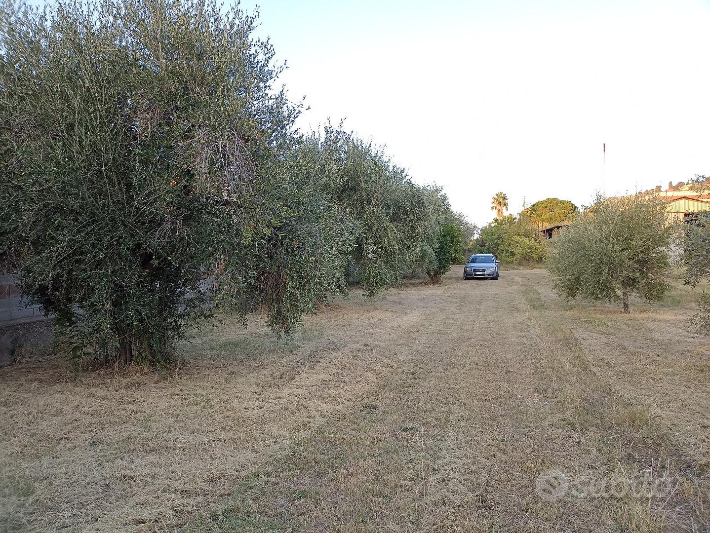 Terreno agricolo - Altro