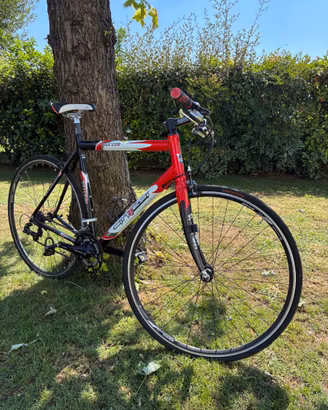 Bici da corsa Sintesi
