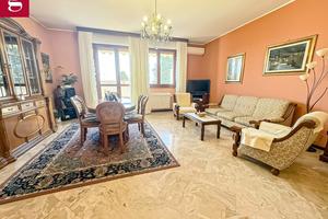 Duplex Rho [Cod. rif 3294758VRG]