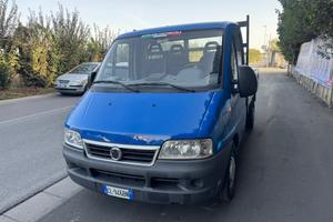 Fiat ducato 2.3 jtd cassone fisso 04