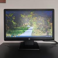 Monitor LCD 18.5" 16:9 HP W1972a con Speakers