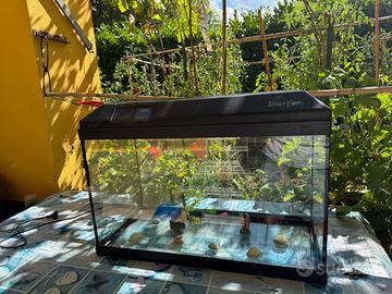 Aquario usato