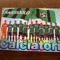 Squadra Sassuolo 2014/15 Calciatori Panini