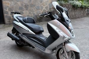 Sym Joymax 250