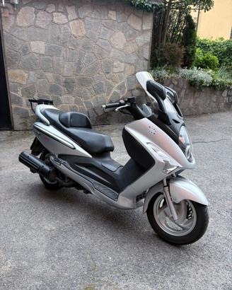 Sym Joymax 250