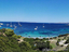 Immagine 11