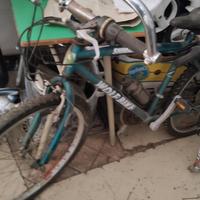 Bicicletta bici biciclette bambino adulto