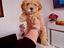 Immagine 13