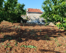 Terreno agricolo con casina *Leggere Descrizione