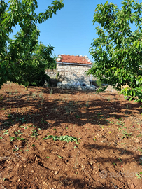 Terreno agricolo con casina *Leggere Descrizione