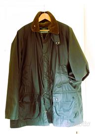 Giaccone WILKES & AKERMAN