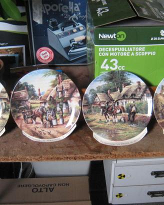 piatti da collezione
