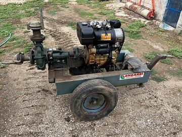 Pompa a motore carrellata