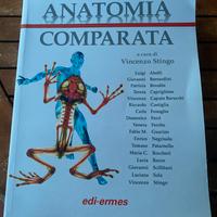 Anatomia comparata di Vincenzo Stingo