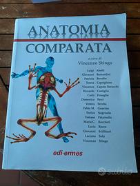 Anatomia comparata di Vincenzo Stingo
