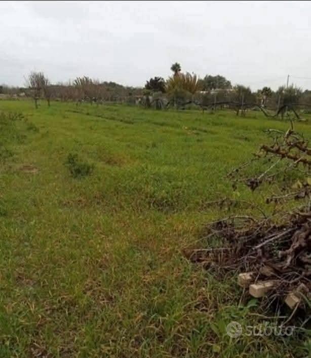 Terreno Agricolo - Vista 2